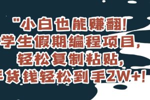 【2024.01.03】小白也能赚翻！学生假期编程项目，轻松复制粘贴，年货钱轻松到手2W+百度网盘免费下载-芽米宝库