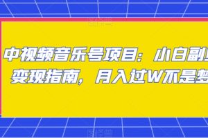 【2024.01.02】中视频音乐号项目：小白副业变现指南，月入过W不是梦百度网盘免费下载-芽米宝库