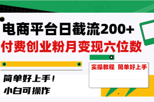 【2023.12.29】电商平台日截流200+付费创业粉，月变现六位数简单好上手！百度网盘免费下载-芽米宝库