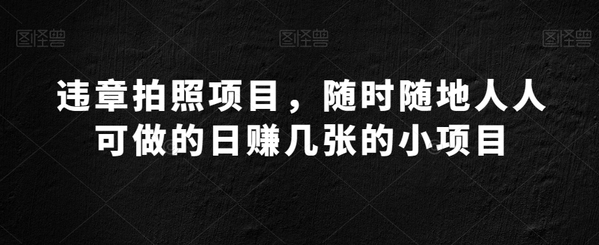 图片[1]-【2023.12.31】违章拍照项目，随时随地人人可做的日赚几张的小项目百度网盘免费下载-芽米宝库