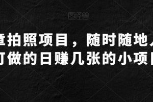 【2023.12.31】违章拍照项目，随时随地人人可做的日赚几张的小项目百度网盘免费下载-芽米宝库