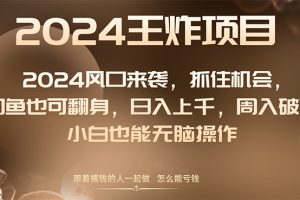 【2023.12.29】2024风口项目来袭，抓住机会，闲鱼也可翻身，日入上千，周入破万，小白也能无脑操作百度网盘免费下载-芽米宝库