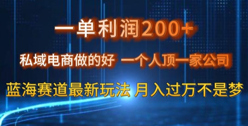 图片[1]-【2023.12.29】一单利润200私域电商做的好，一个人顶一家公司蓝海赛道最新玩法百度网盘免费下载-芽米宝库
