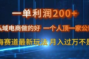 【2023.12.29】一单利润200私域电商做的好，一个人顶一家公司蓝海赛道最新玩法百度网盘免费下载-芽米宝库
