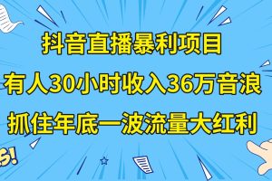 【2023.12.28】抖音直播暴利项目，有人30小时收入36万音浪，公司宣传片年会视频制作，抓住年底一波流量大红利百度网盘免费下载-芽米宝库