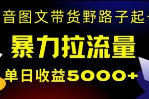 【2023.12.27】抖音图文带货暴力起号，单日收益5000+，野路子玩法，简单易上手，一部手机即可百度网盘免费下载-芽米宝库