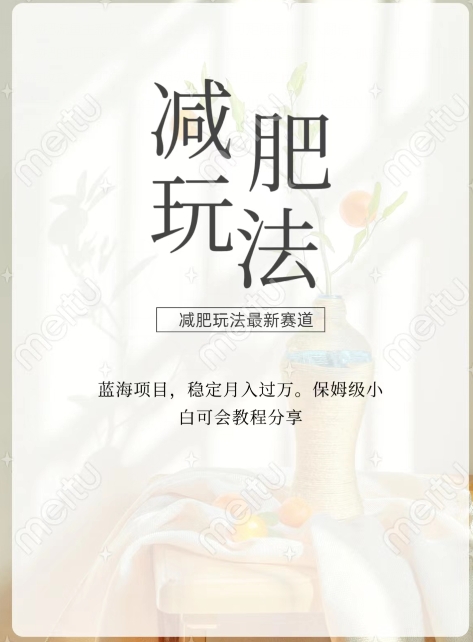 图片[1]-【2023.12.27】减肥流量主新玩法，轻松月入1W，可矩阵操作收入翻倍百度网盘免费下载-芽米宝库