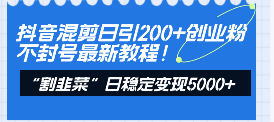 图片[1]-【2023.12.25】抖音混剪日引200+创业粉不封号最新教程！“割韭菜”日稳定变现5000+百度网盘免费下载-芽米宝库