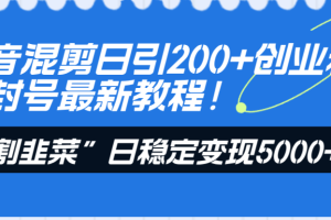 【2023.12.25】抖音混剪日引200+创业粉不封号最新教程！“割韭菜”日稳定变现5000+百度网盘免费下载-芽米宝库