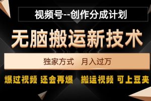 【2023.12.23】视频号无脑搬运新技术，破原创壕流量，独家方式，爆过视频，还会再爆百度网盘免费下载-芽米宝库