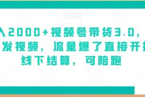 【2023.12.22】日入2000+视频号带货3.0，无敌代发视频，流量爆了直接开播，线下结算，可陪跑百度网盘免费下载-芽米宝库