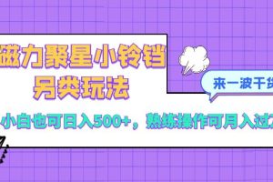 【2023.12.22】磁力聚星小铃铛另类玩法，小白也可日入500+，熟练操作可月入过万百度网盘免费下载-芽米宝库