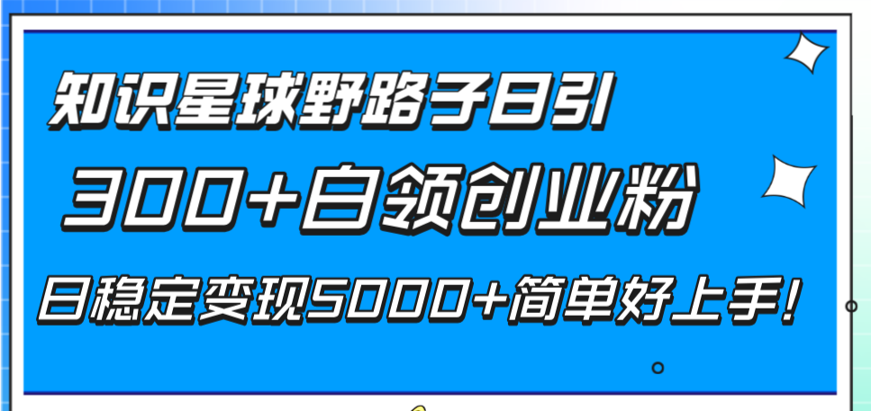 图片[1]-【2023.12.22】知识星球野路子日引300+白领创业粉，日稳定变现5000+简单好上手！百度网盘免费下载-芽米宝库
