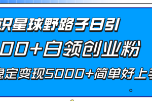 【2023.12.22】知识星球野路子日引300+白领创业粉，日稳定变现5000+简单好上手！百度网盘免费下载-芽米宝库