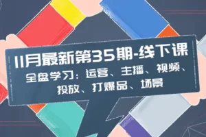 【2023.12.22】11月最新-35期-线下课：全盘学习：运营、主播、视频、投放、打爆品、场景百度网盘免费下载-芽米宝库
