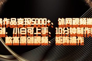【2023.12.19】单条作品变现5000+、外网视频搬运二创，小白可上手，10分钟制作爆款高原创视频，矩阵操作百度网盘免费下载-芽米宝库