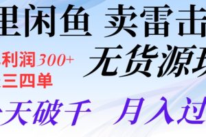 【2023.12.19】阿里闲鱼卖雷击木无货源玩法，一单利润300+，一天三四单，一天破千，月入过万百度网盘免费下载-芽米宝库
