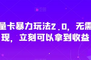 【2023.12.19】秒反流量卡暴力玩法2.0，无需次月提现，立刻可以拿到收益百度网盘免费下载-芽米宝库