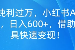 【2023.12.18】单号纯利过万，小红书AI国学起名，日入600+，借助AI工具快速变现百度网盘免费下载-芽米宝库