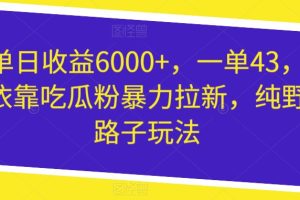 【2023.12.17】单日收益6000+，一单43，依靠吃瓜粉暴力拉新，纯野路子玩法百度网盘免费下载-芽米宝库