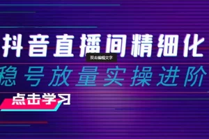 【2023.12.17】2024抖音直播间精细化运营：稳号放量实操进阶 选品/排品/起号/小店随心推/千川付费如何去投放百度网盘免费下载-芽米宝库