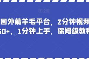 【2023.12.14】最新国外薅羊毛平台，2分钟视频收益50+，1分钟上手，保姆级教程百度网盘免费下载-芽米宝库