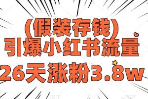 【2023.12.13】假装存钱，引爆小红书流量， 26天涨粉3.8w，作品制作简单，多种变现方式百度网盘免费下载-芽米宝库
