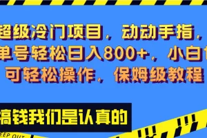 【2023.12.12】超级冷门项目,动动手指，单号轻松日入800+，小白也可轻松操作，保姆级教程百度网盘免费下载-芽米宝库