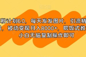 【2023.12.12】男粉计划6.0，每天发发图片，引流精准男粉，被动变现月入8000+，喂饭式教学，小白无脑复制操作即可百度网盘免费下载-芽米宝库