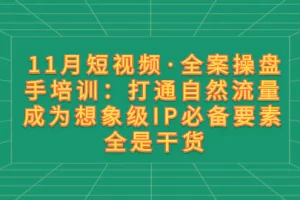 【2023.12.10】11月短视频·全案操盘手培训：打通自然流量 成为想象级IP必备要素 全是干货百度网盘免费下载-芽米宝库