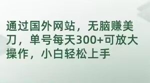 图片[1]-【2023.12.09】通过国外网站，无脑赚美刀，单号每天300+可放大操作，小白轻松上手百度网盘免费下载-芽米宝库