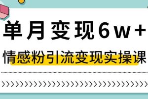 【2023.12.07】单月变现6W+，抖音情感粉引流变现实操课，小白可做，轻松上手，独家赛道百度网盘免费下载-芽米宝库