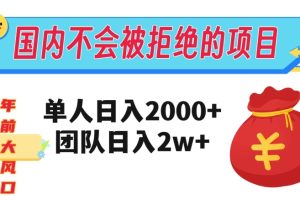 【2023.12.05】在国内不怕被拒绝的项目，单人日入2000，团队日入20000+百度网盘免费下载-芽米宝库