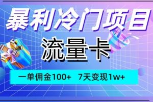 【2023.12.05】暴利冷门项目，流量卡，一单佣金100+，7天变现1w+百度网盘免费下载-芽米宝库
