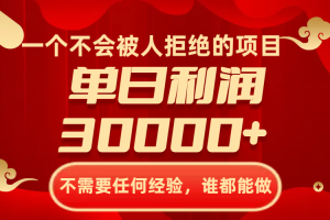 【2023.12.04】一个不会被人拒绝的项目，不需要任何经验，谁都能做，单日利润30000+百度网盘免费下载-芽米宝库