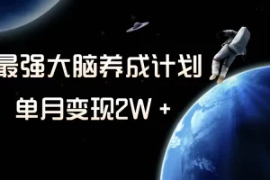 【2023.12.02】冷门虚拟项目，最强大脑养成计划，一个月变现2W＋百度网盘免费下载-芽米宝库