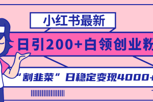 【2023.11.30】小红书最新日引200+创业粉”割韭菜“日稳定变现4000+实操教程！百度网盘免费下载-芽米宝库