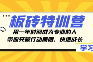 【2023.11.30】板砖特训营，用一年时间成为专业的人，带你突破行动局限，快速成长百度网盘免费下载-芽米宝库