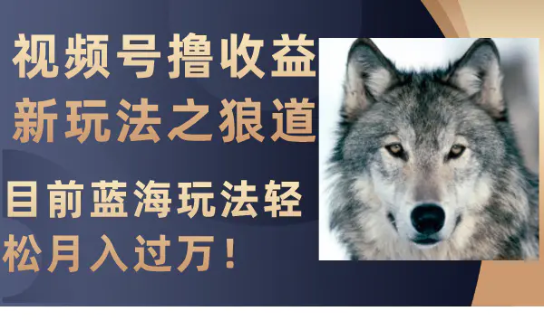 图片[1]-【2023.11.30】视频号撸收益新玩法之狼道，目前蓝海玩法轻松月入过万！百度网盘免费下载-芽米宝库