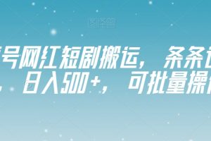 【2023.11.29】视频号网红短剧搬运，条条过原创，日入500+，可批量操作百度网盘免费下载-芽米宝库