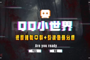 【2023.11.29】【全网首发】QQ小世界_Q群挂载教程+引流思路分析百度网盘免费下载-芽米宝库