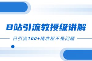 【2023.11.25】B站引流教授级讲解，细节满满，日引流100+精准粉不是问题百度网盘免费下载-芽米宝库