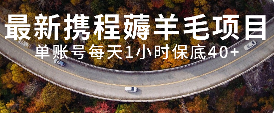 图片[1]-【2023.11.25】最新携程薅羊毛项目，单账号每天1小时保底收益40+，可矩阵操作百度网盘免费下载-芽米宝库