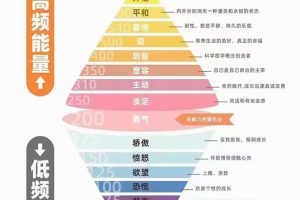 【2023.11.24】天道思维·开悟课-最高维的能量是开悟，文化属性/男女执念/商业布局/贵人运作/财富密码百度网盘免费下载-芽米宝库