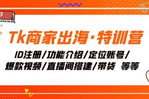 【2023.11.24】Tk商家出海·特训营：ID注册/功能介绍/定位账号/爆款视频/直播间搭建/带货百度网盘免费下载-芽米宝库