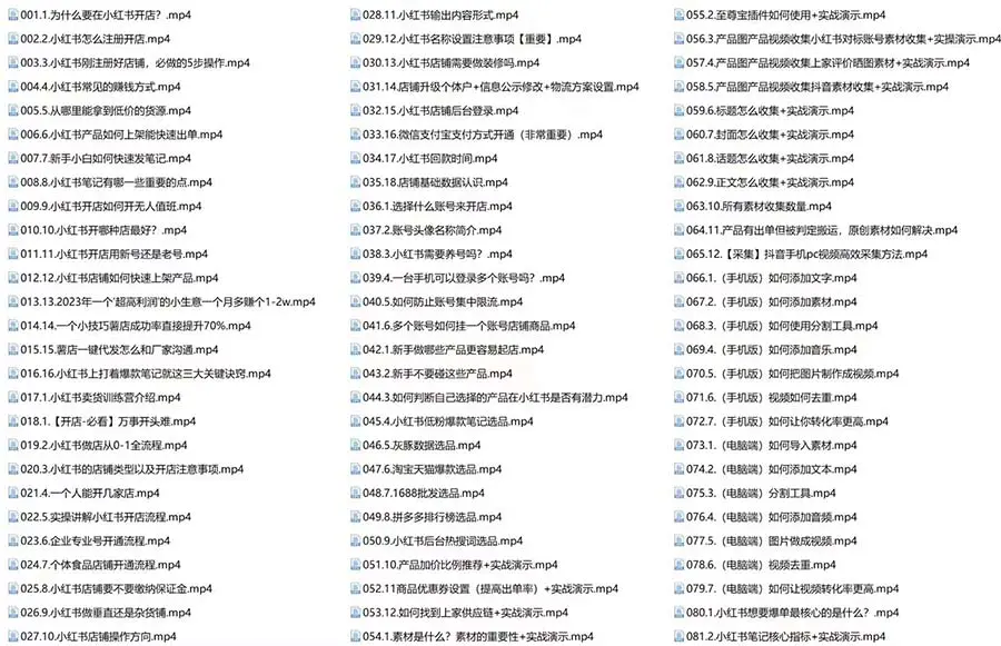 图片[4]-【2023.11.21】新个体·搞钱-小红书训练营：实战落地运营方法，抓住搞钱方向，每月多搞2w+百度网盘免费下载-芽米宝库