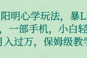【2023.11.20】王阳明心学玩法，暴L变现，一部手机，小白轻松月入过万，保姆级教学百度网盘免费下载-芽米宝库