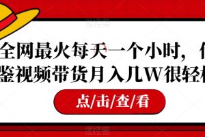 【2023.11.16】全网最火每天一个小时，借鉴视频带货月入几W很轻松百度网盘免费下载-芽米宝库