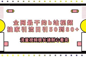 【2023.11.14】全网最干的b站视频独家引流日引50到80+流量视频很长请耐心看完百度网盘免费下载-芽米宝库