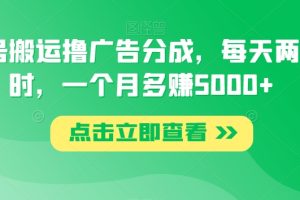 【2023.11.11】视频号搬运撸广告分成，每天两个小时，一个月多赚5000+百度网盘免费下载-芽米宝库